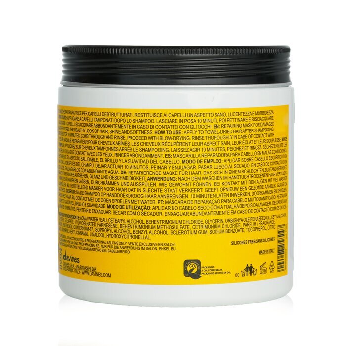 Davines The Renaissance Circle Hopeless Hair Extreme Repair Hair Mask (Salon Size) 750ml/26.39oz