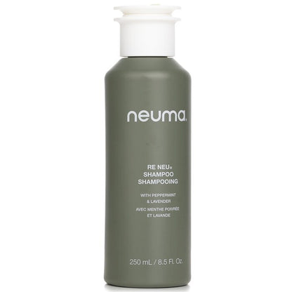 Neuma Re Neu Shampoo 250ml/8.5oz